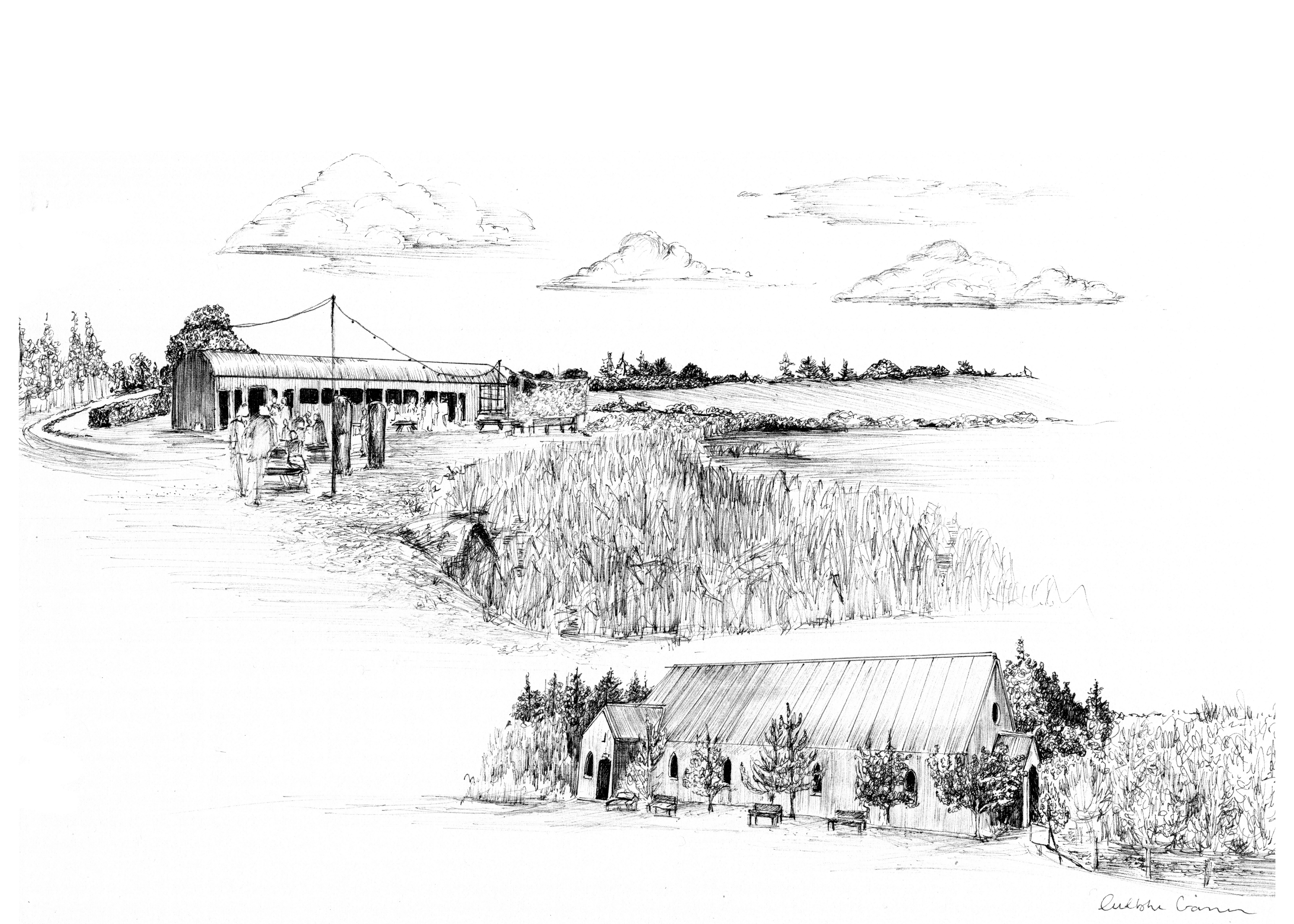 Mount Druid Ink Venue Print