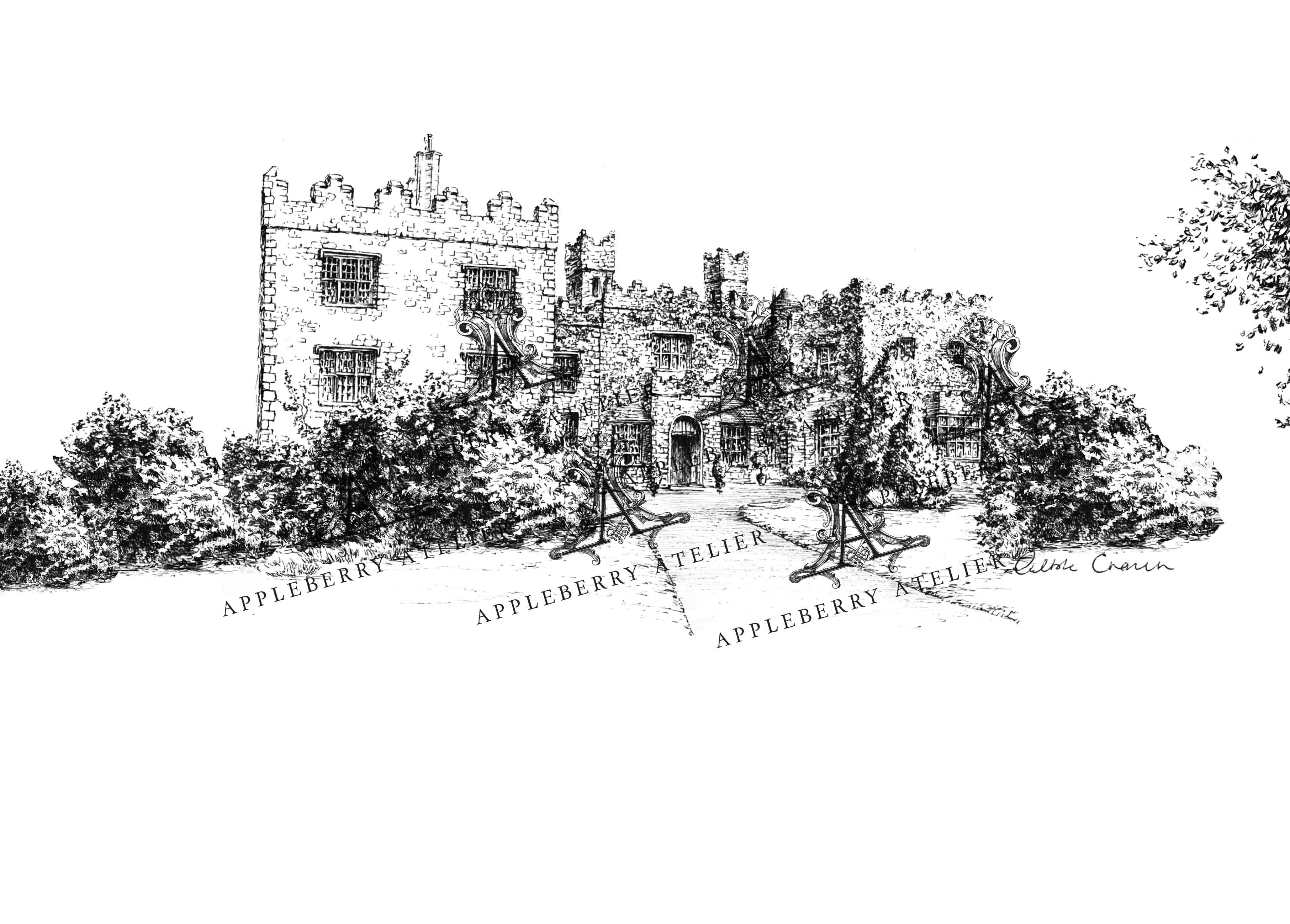 Waterford Castle Ink Venue Print