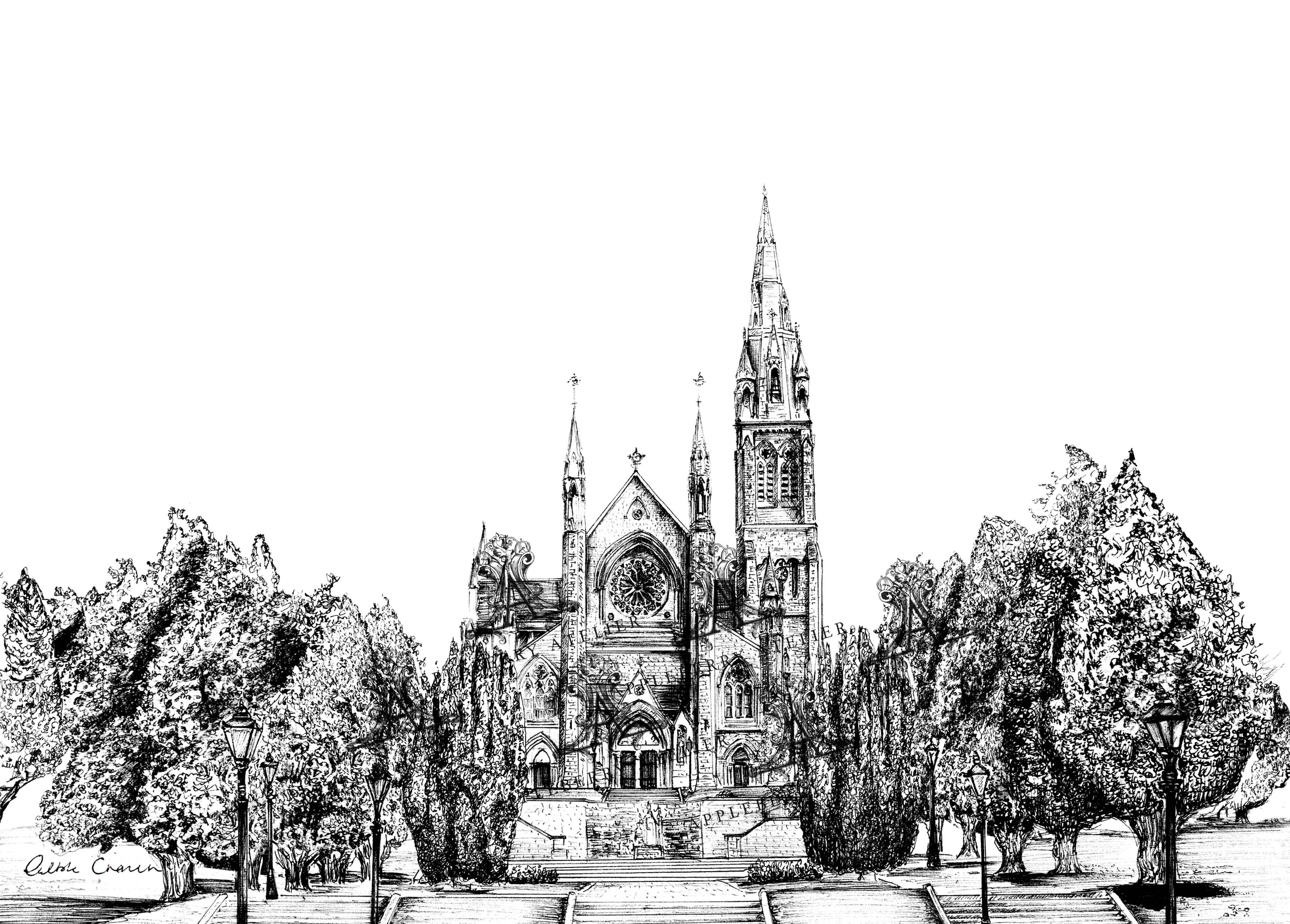St Macartan's Cathedral Monaghan Ink Venue Print