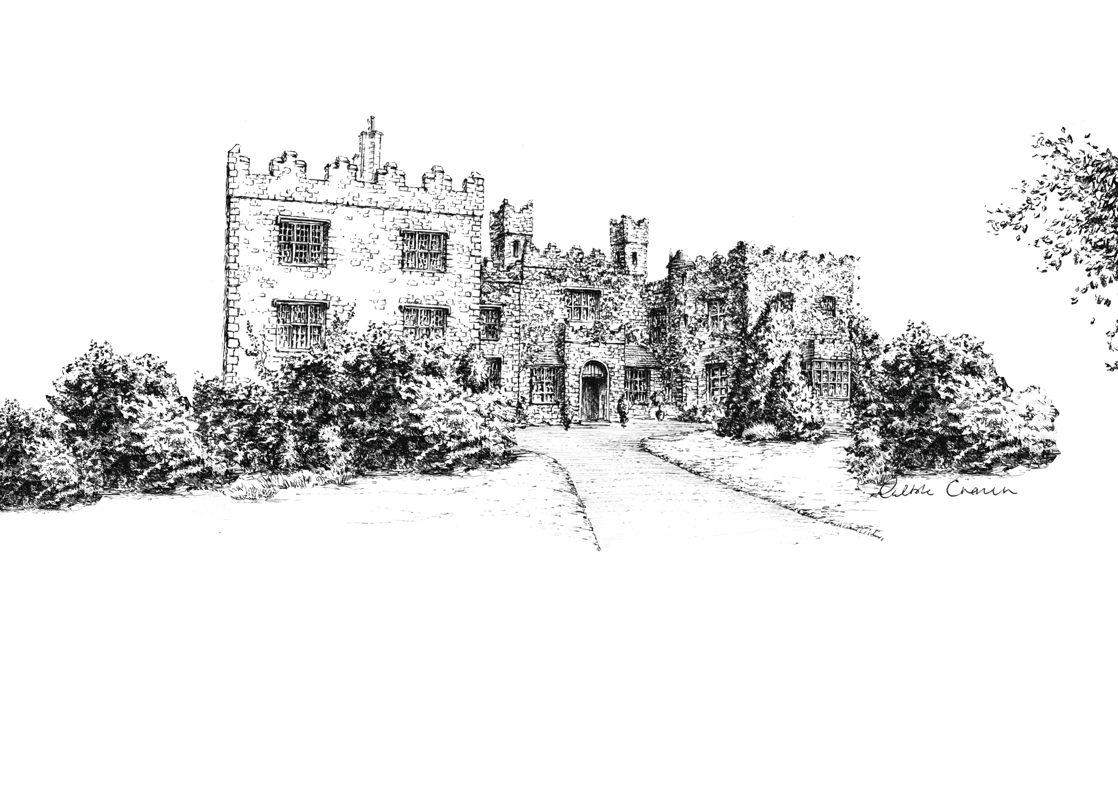 Waterford Castle Ink Venue Print