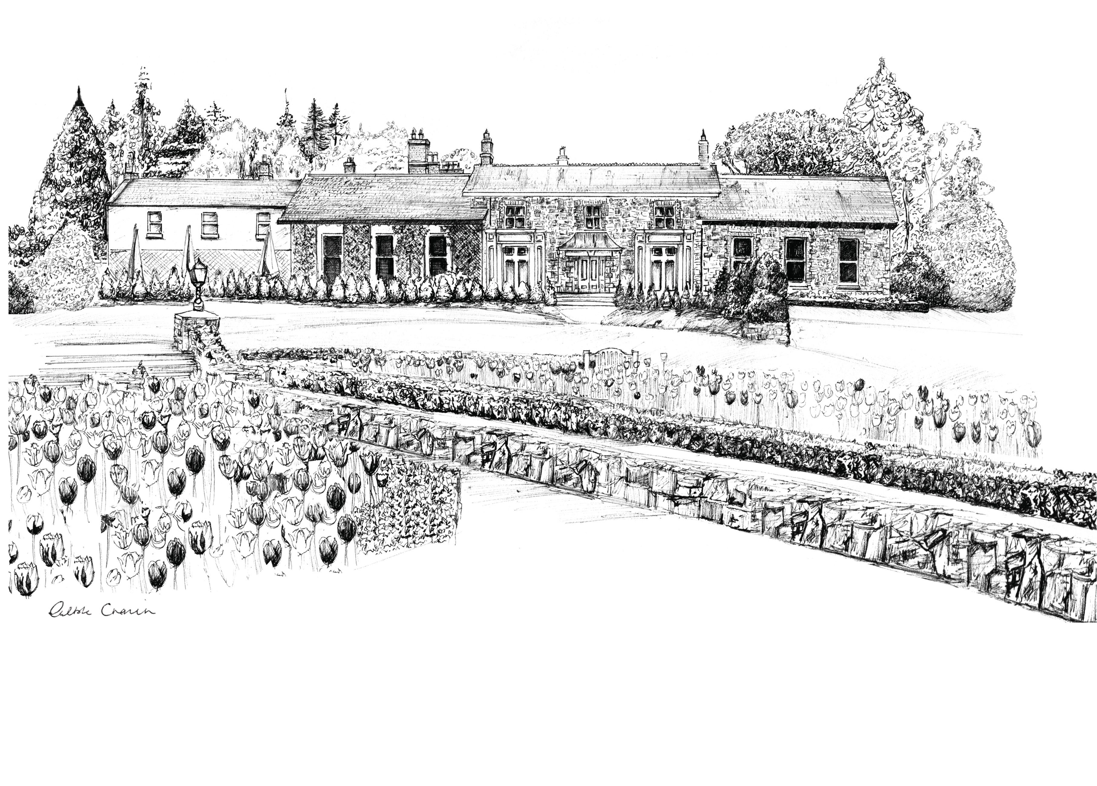 Virginia Park Lodge Ink Venue Print