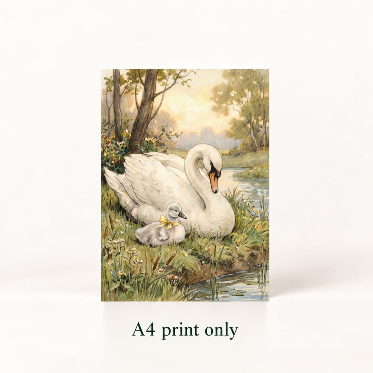 A vertical A4 art print featuring an illustration of a white swan and its cygnet by a river, shown on a white background with the text 'A4 print only' below it.