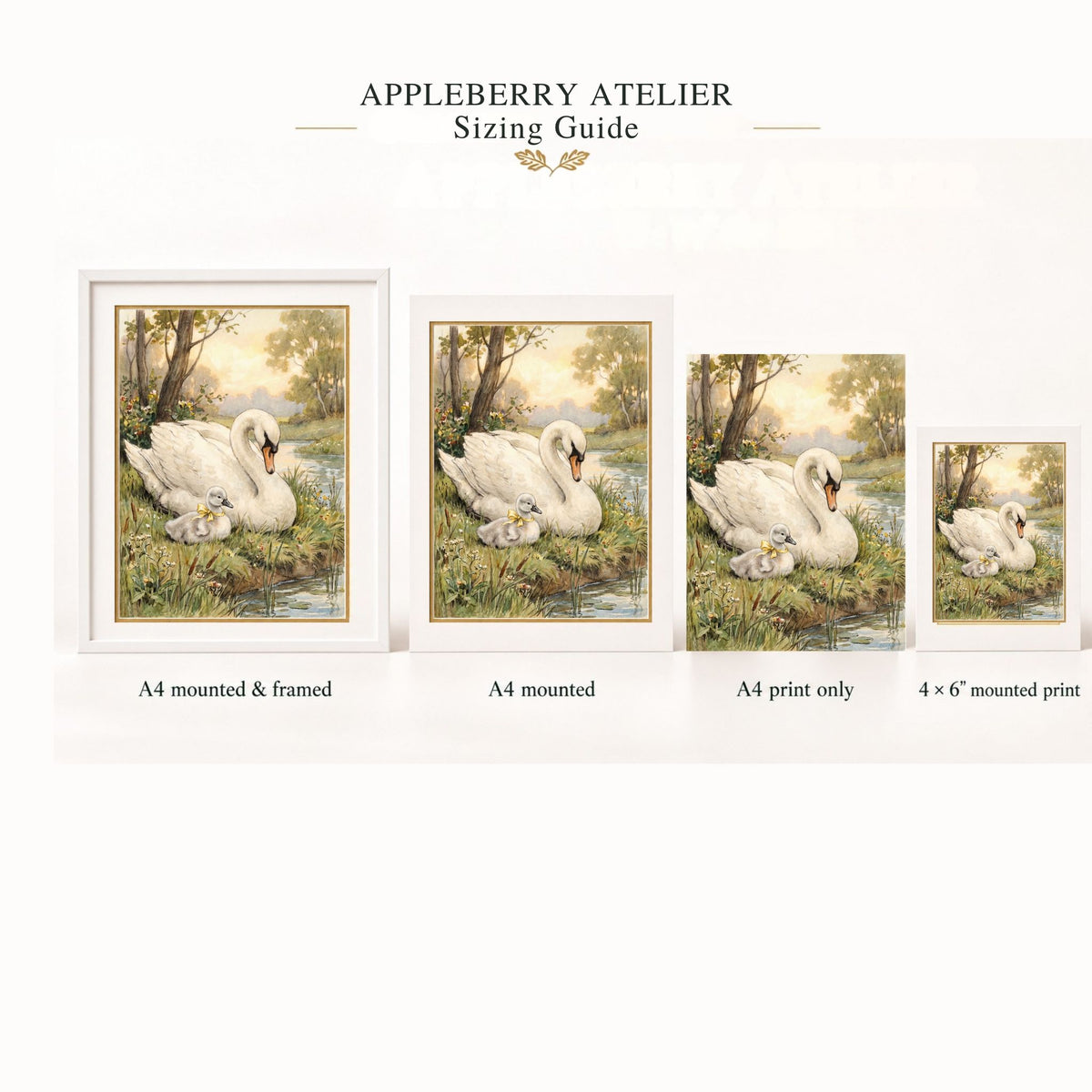 Appleberry Atelier sizing guide showing four framed and unframed views of a swan artwork, labeled A4 mounted & framed, A4 mounted, A4 print only, and 4 x 6 mounted print, on a white background.