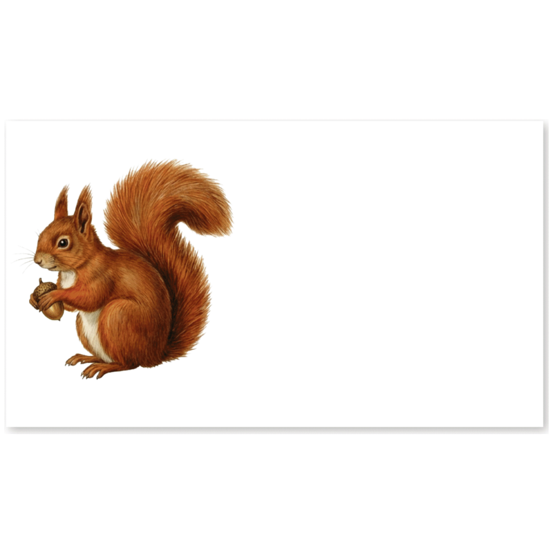 A red squirrel holding an acorn, illustrated in warm brown and orange tones with a white belly, shown on a white rectangular card against a white background.