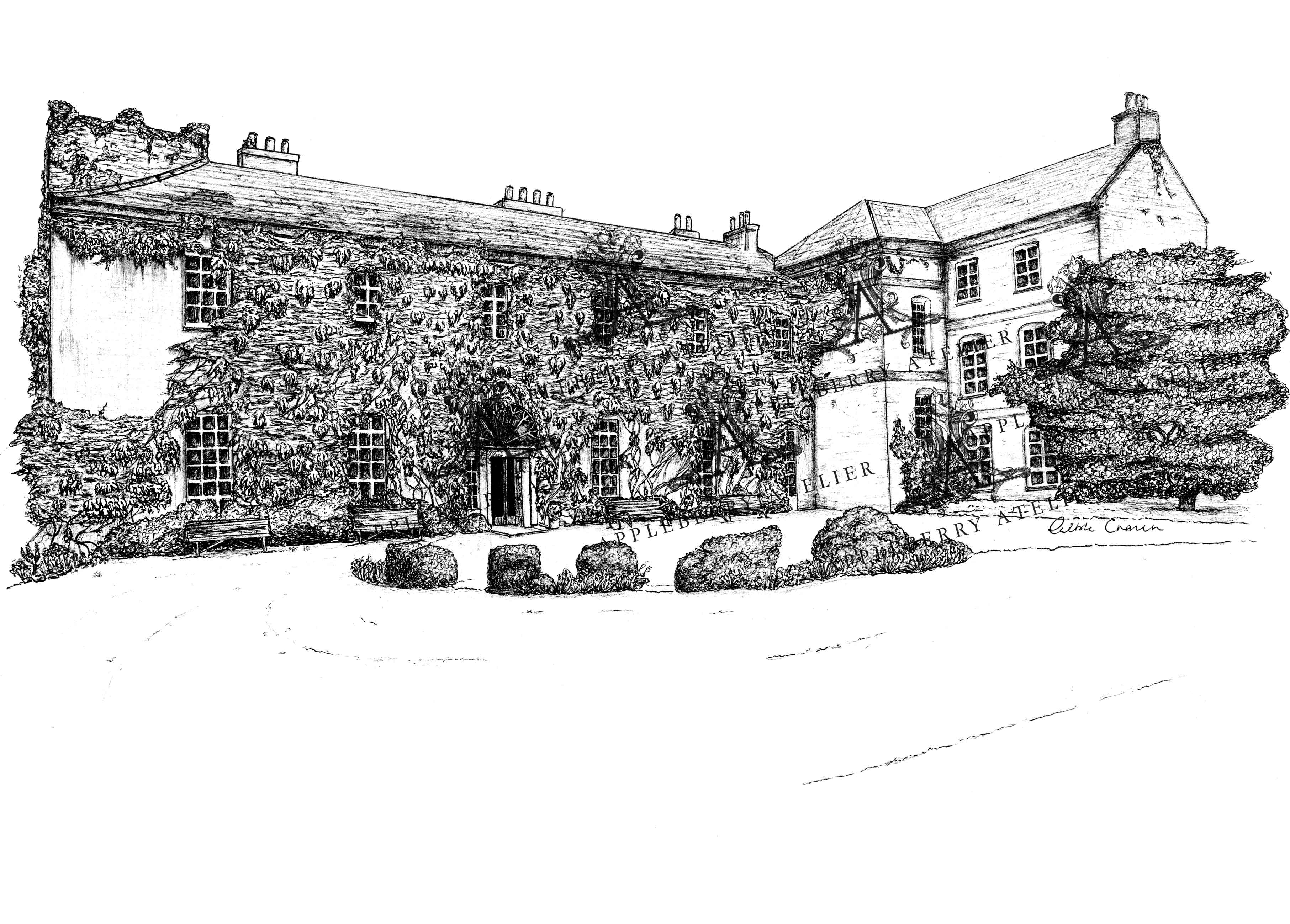Ballymaloe House Ink Venue Print