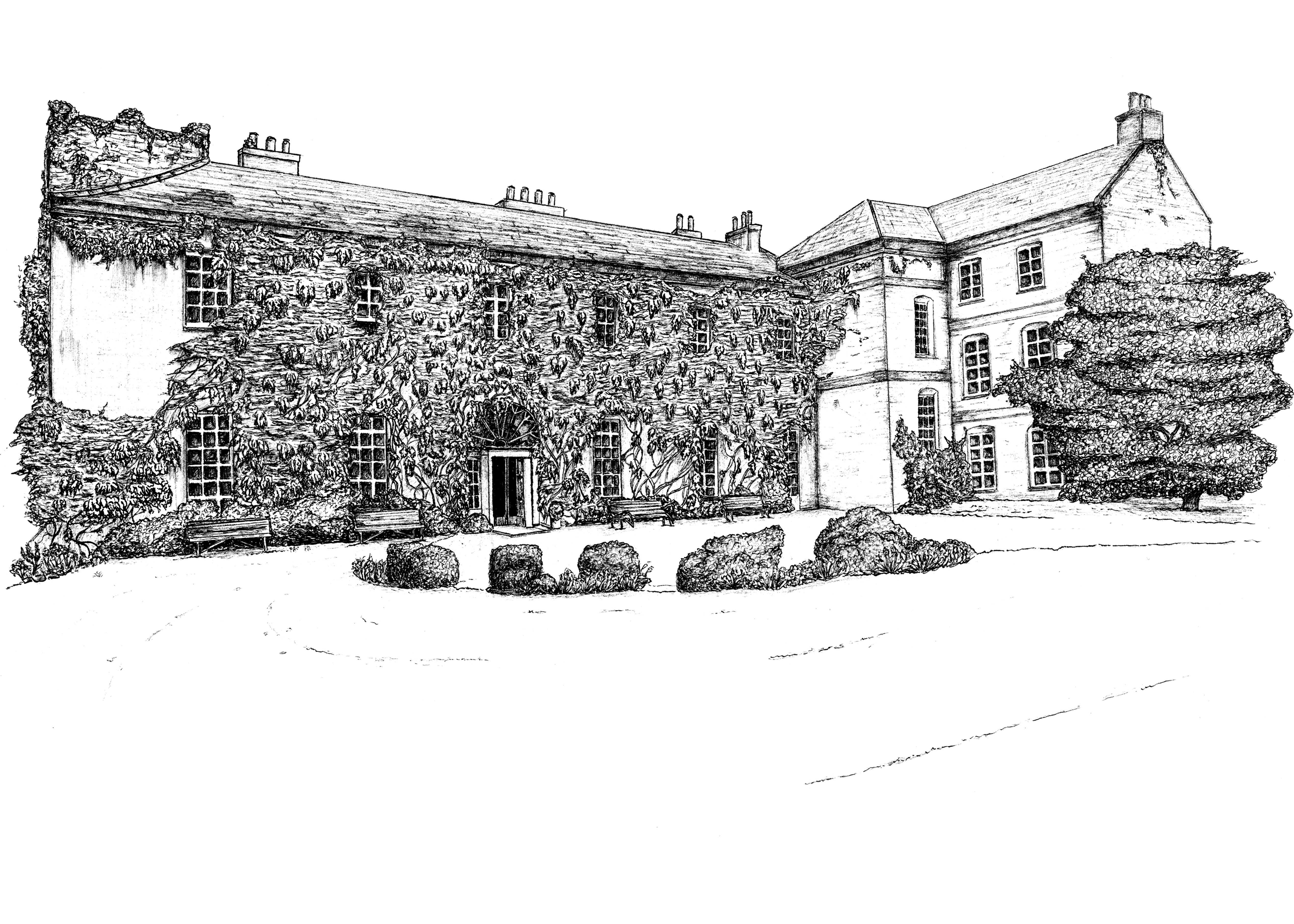 Ballymaloe House Ink Venue Print