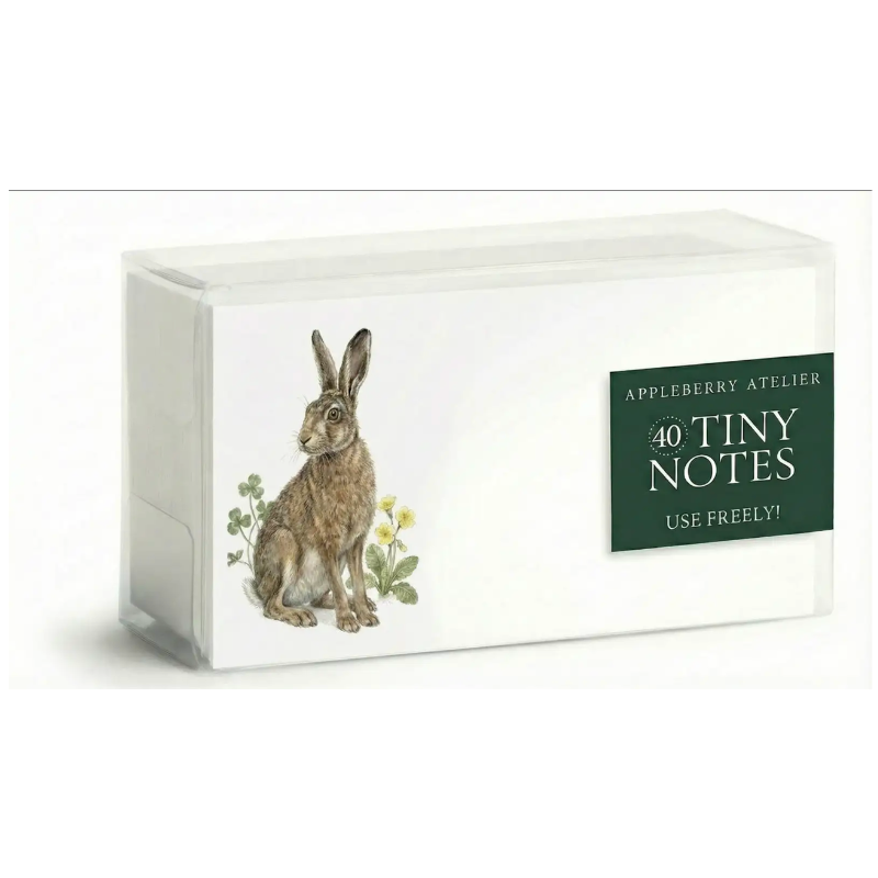 A boxed set of Appleberry Atelier 40 Tiny Notes on a white background. The box is white with an illustration of a brown hare and a dark green label that reads 'APPLEBERRY ATELIER 40 TINY NOTES USE FREELY!'.