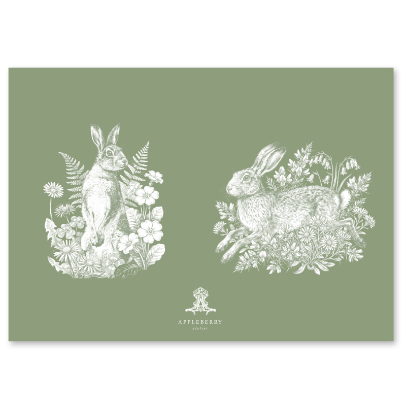 Wild Hare Boxed Notelets