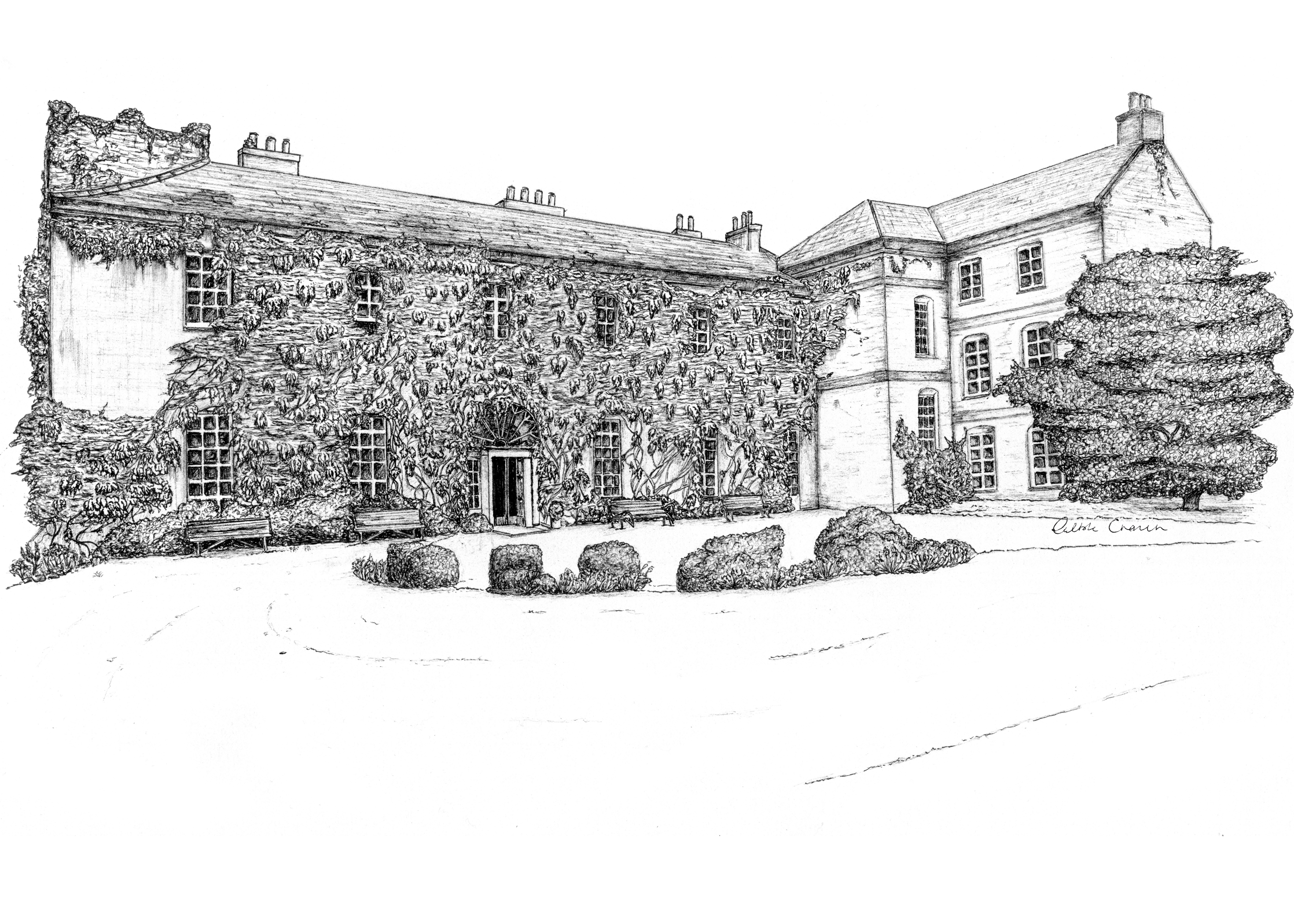 Ballymaloe House Ink Venue Print