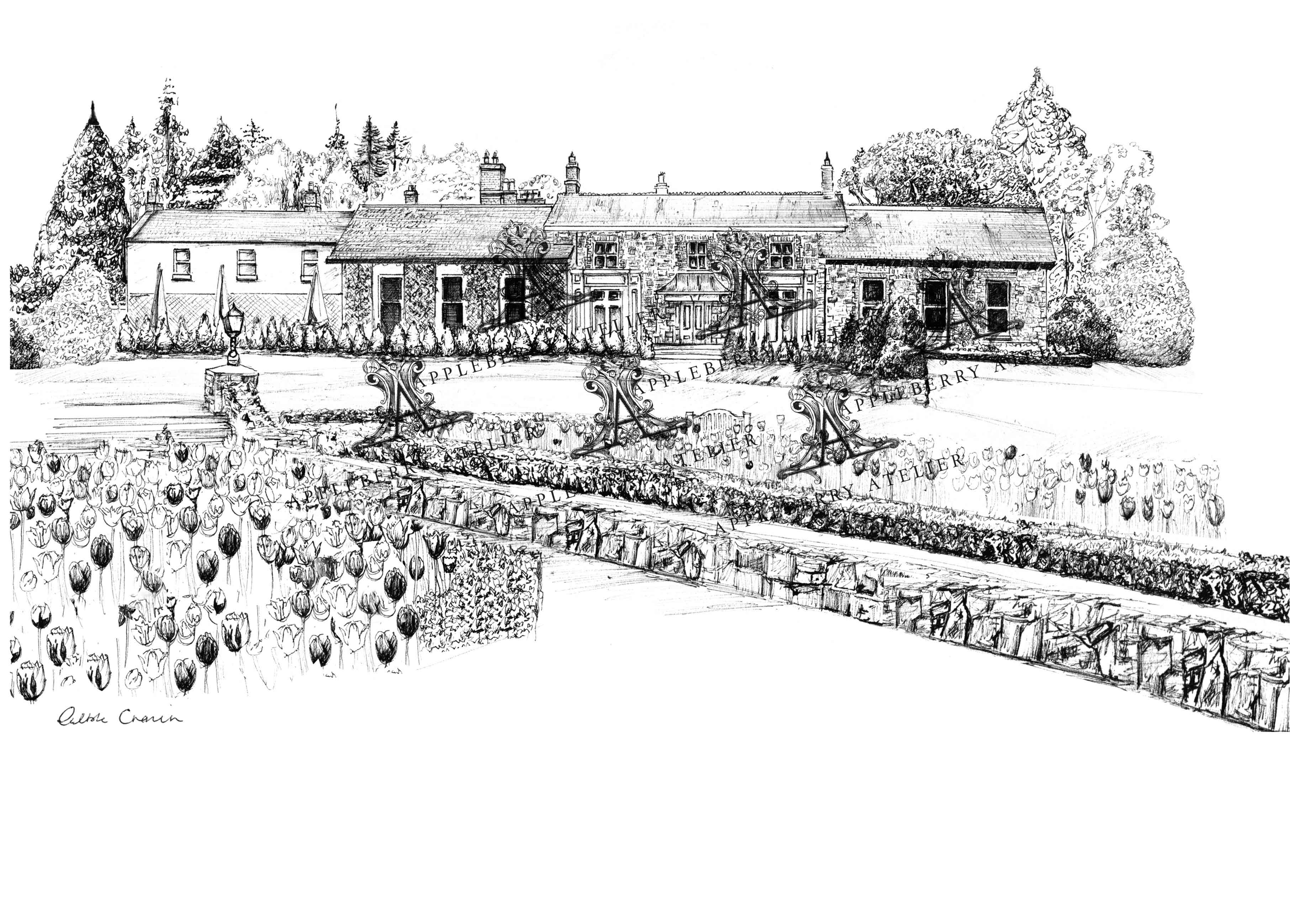 Virginia Park Lodge Ink Venue Print