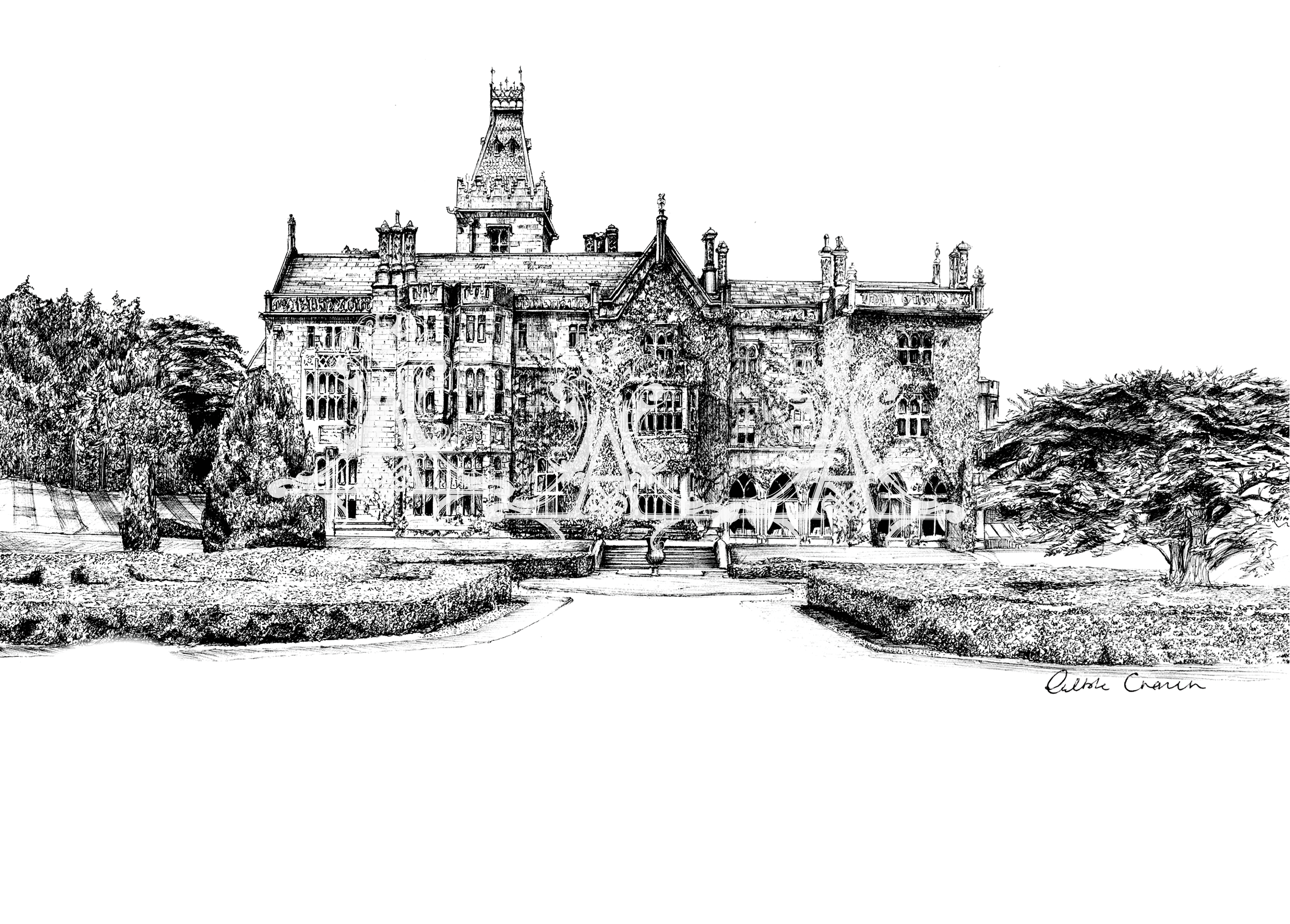 Adare Manor Ink Venue Print