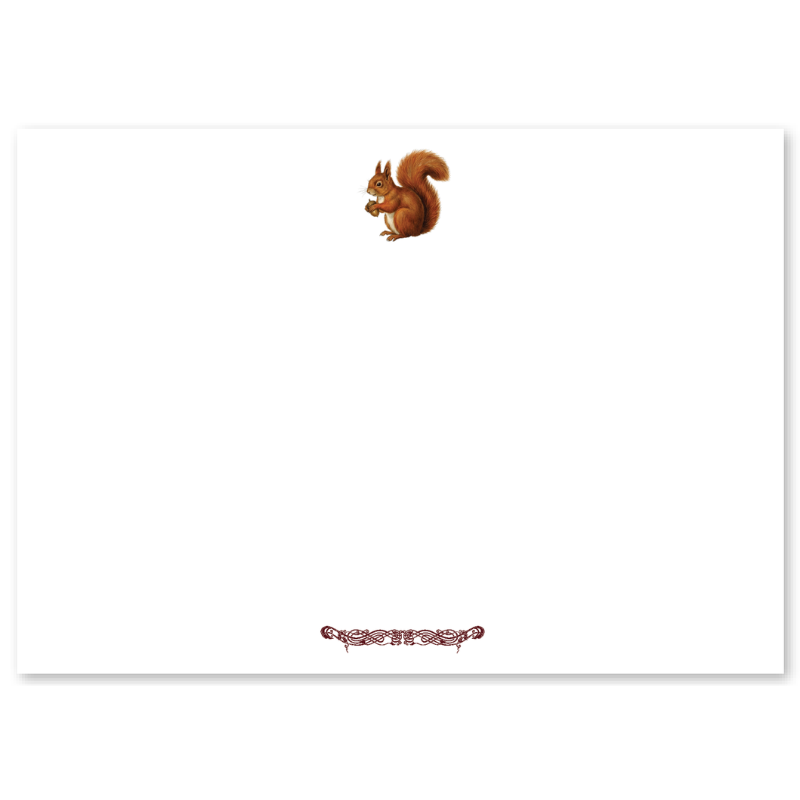 Autumn Squirrel Boxed Notelets