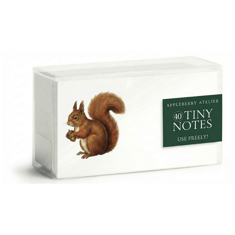 A boxed set of Appleberry Atelier 40 Tiny Notes, featuring a white box with a brown squirrel illustration and a dark green label on the front.