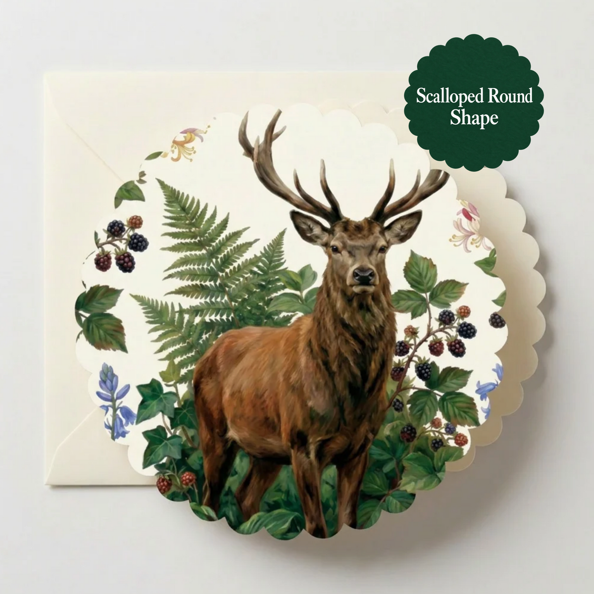 A scalloped round greeting card featuring an illustration of a brown stag with large antlers surrounded by green ferns, leaves, and berries, shown on a white envelope against a light gray background. A dark green badge in the top right reads 'Scalloped Round Shape'.