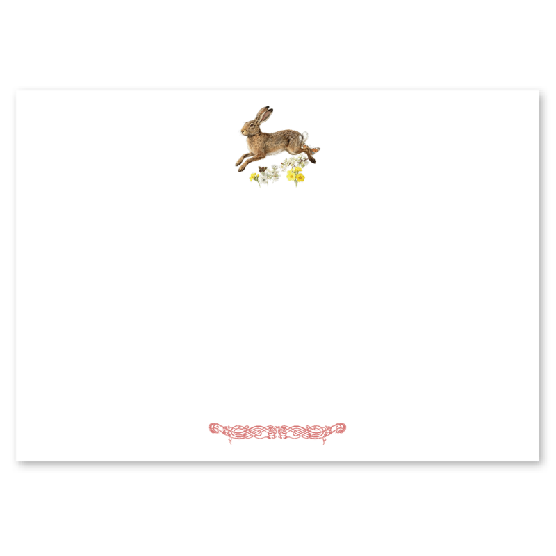 Spring Hare Boxed Notelets