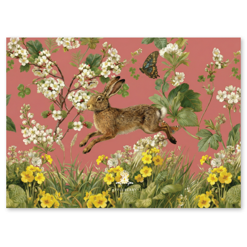 Spring Hare Boxed Notelets