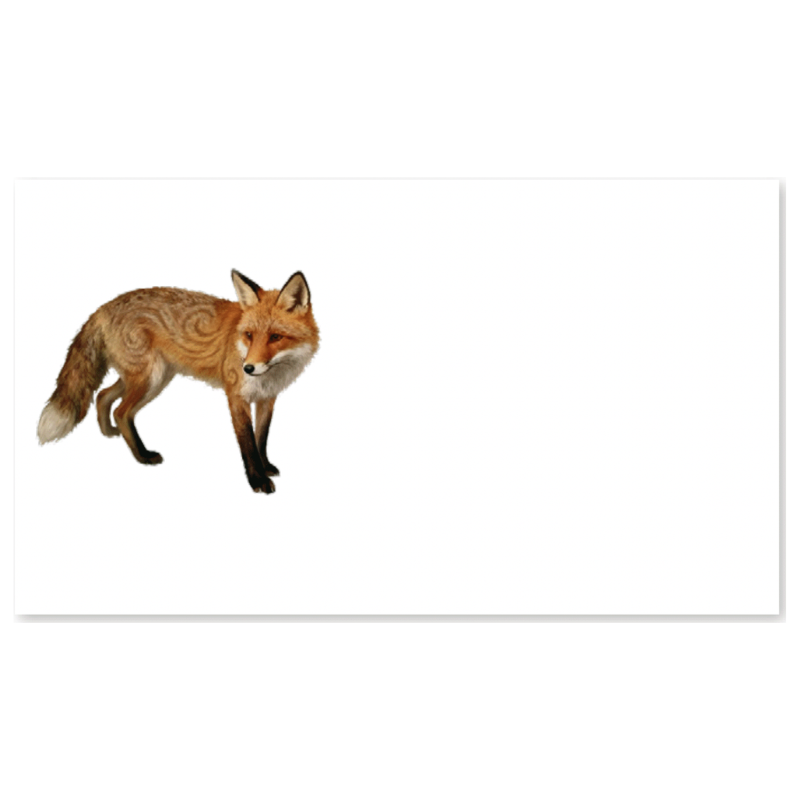 A rectangular white card or print featuring a realistic red fox illustration on the left side, with large blank white space on the right.