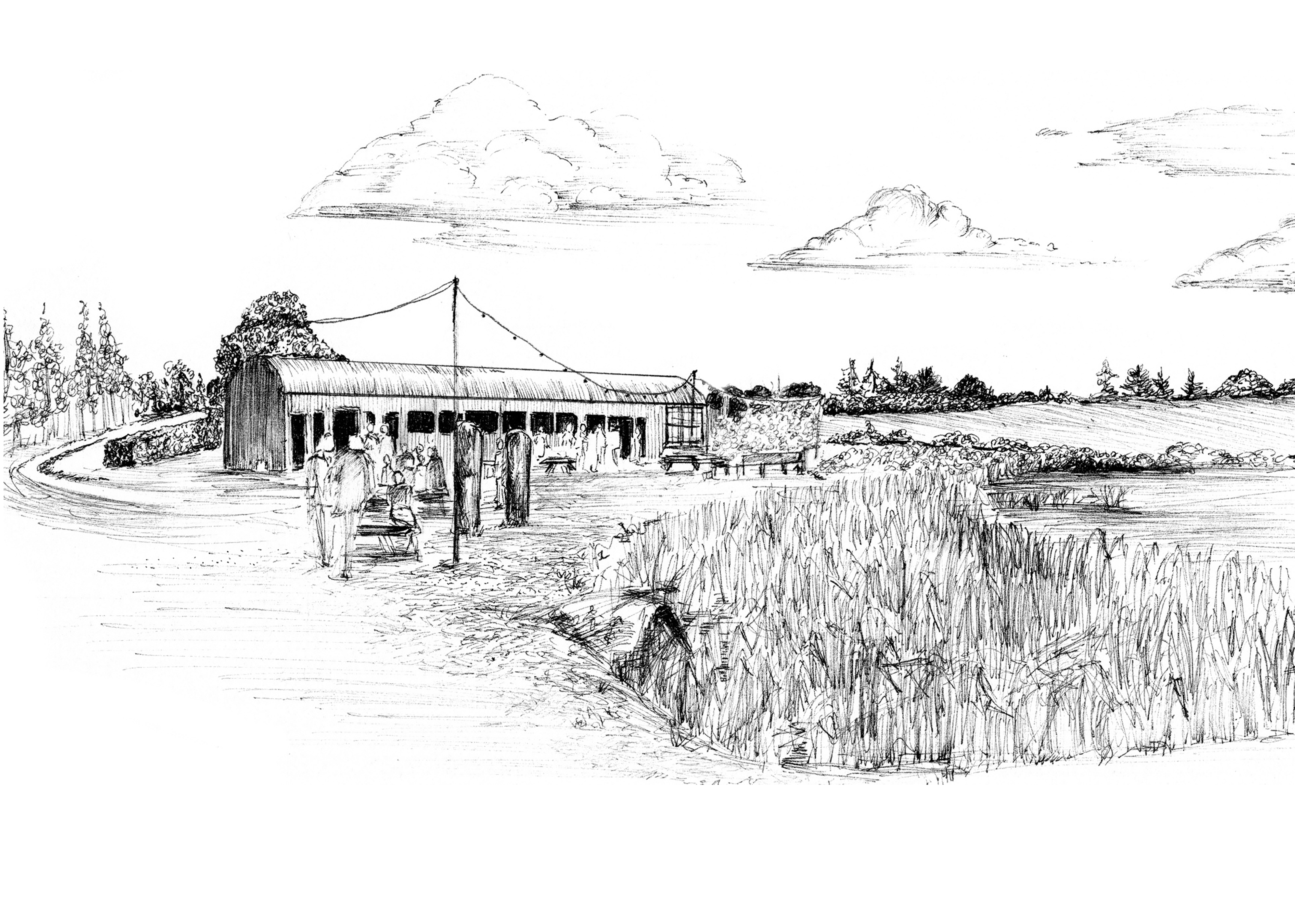 Mount Druid Venue Print