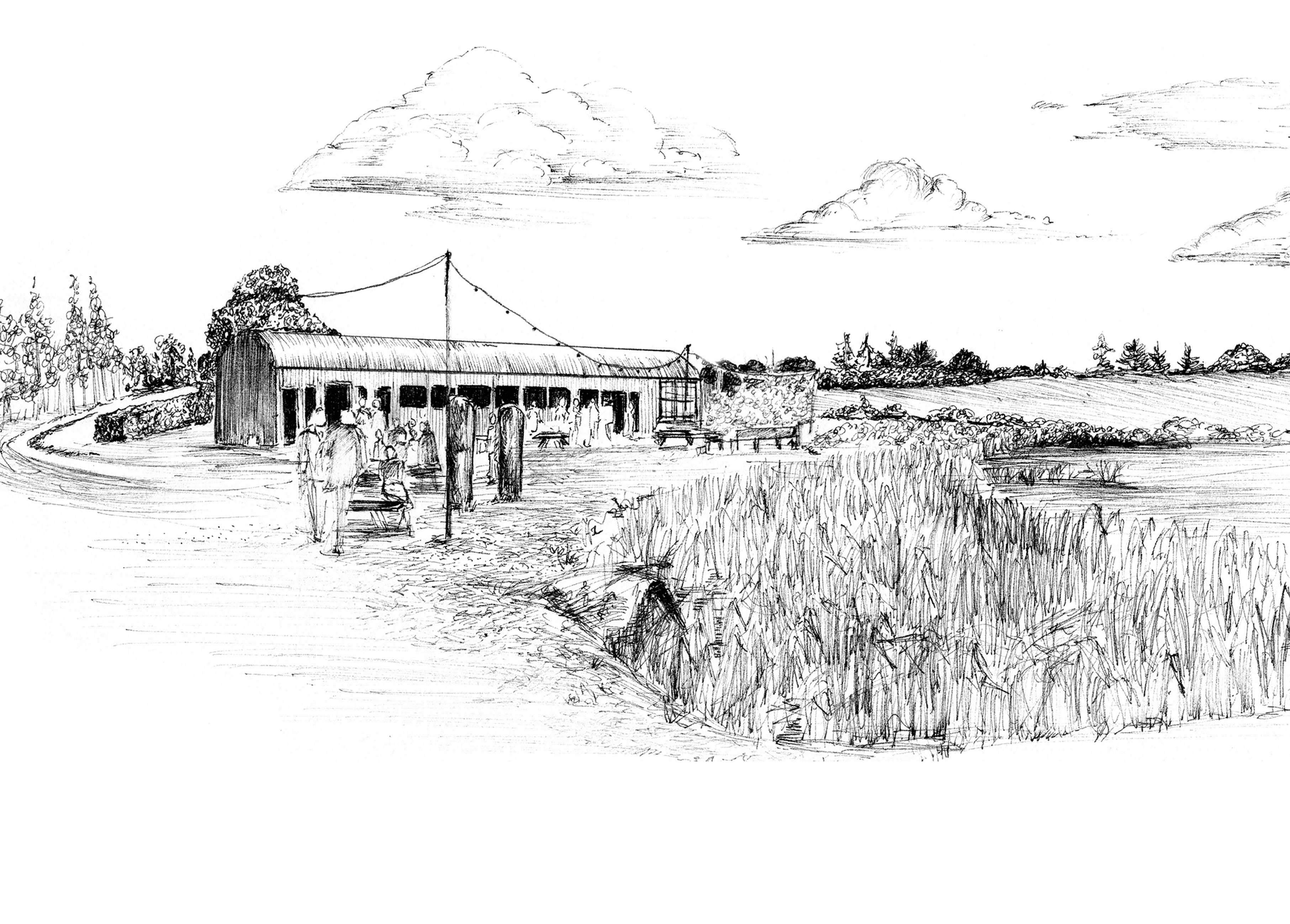 Mount Druid Venue Print