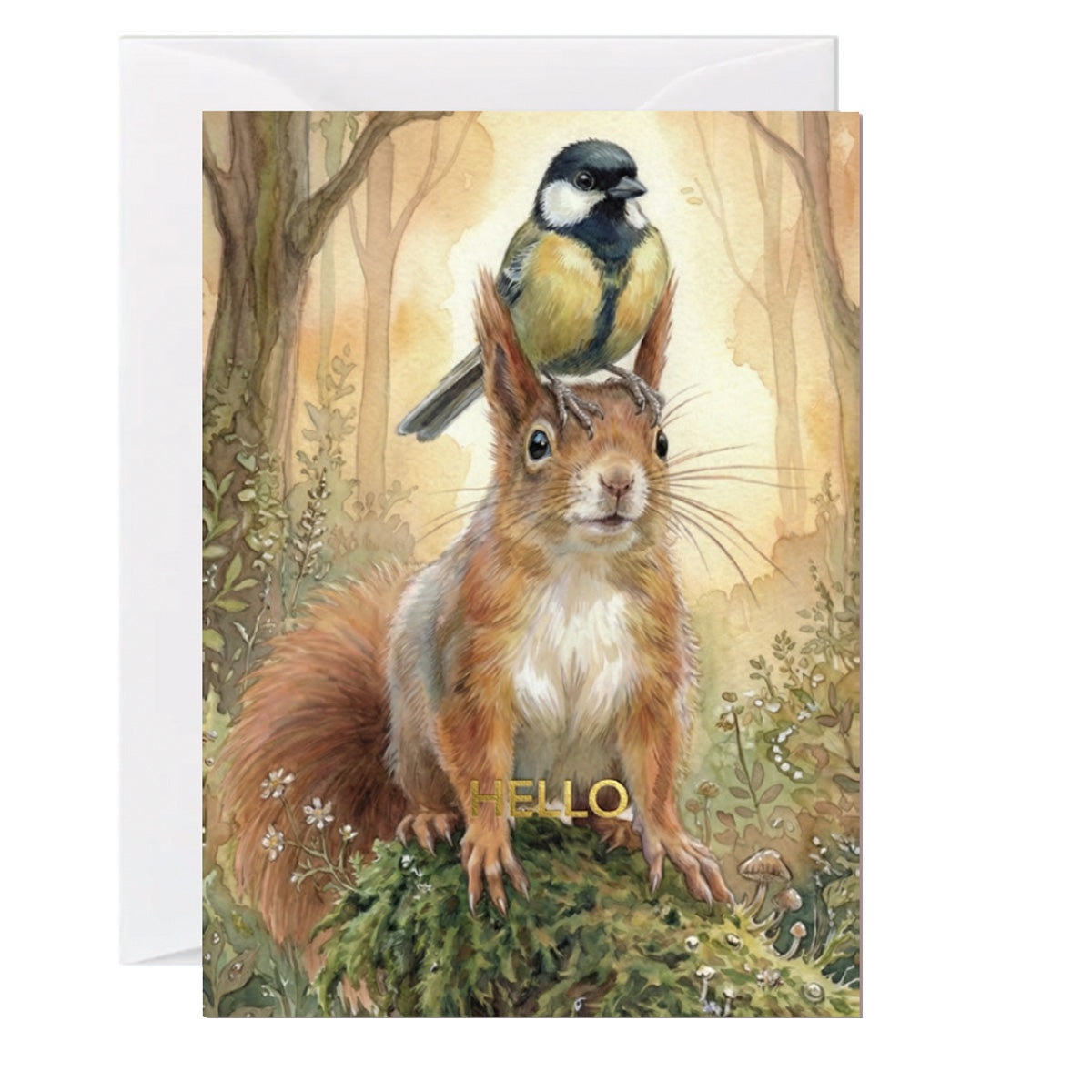 Illustrated squirrel with songbird perched on its head in a woodland forest setting with hello message